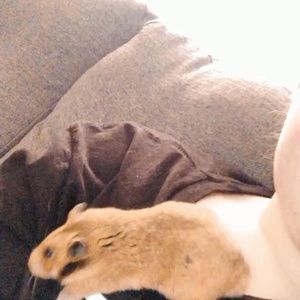 Meet your Posher, Emma